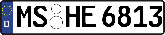 MS-HE6813