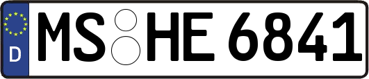MS-HE6841