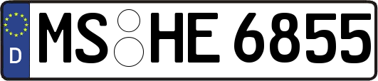 MS-HE6855