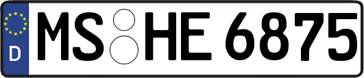 MS-HE6875