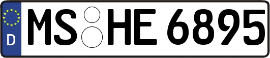 MS-HE6895