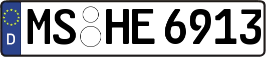 MS-HE6913
