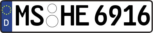 MS-HE6916
