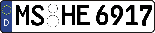 MS-HE6917