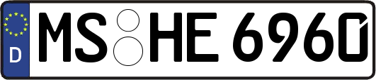 MS-HE6960