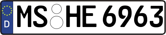 MS-HE6963