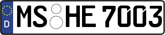 MS-HE7003