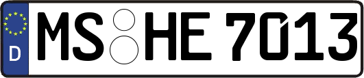 MS-HE7013