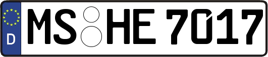 MS-HE7017