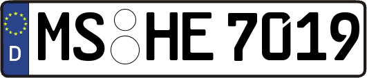 MS-HE7019