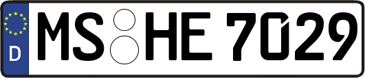 MS-HE7029
