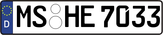 MS-HE7033