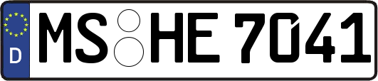 MS-HE7041