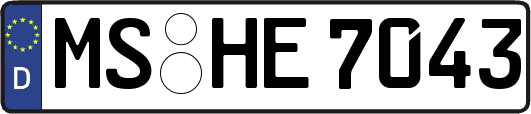 MS-HE7043