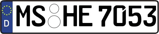 MS-HE7053