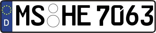 MS-HE7063