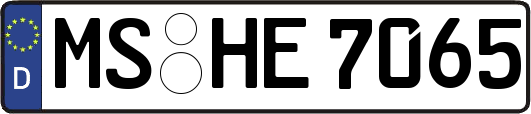 MS-HE7065