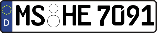MS-HE7091