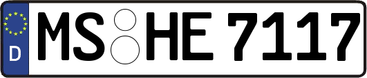 MS-HE7117