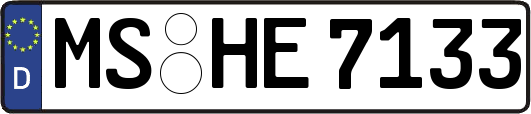 MS-HE7133