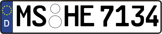 MS-HE7134