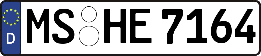 MS-HE7164