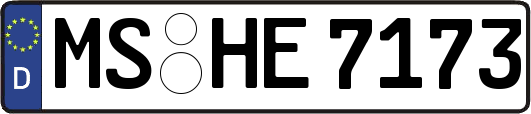 MS-HE7173