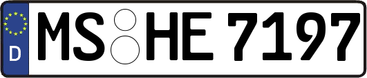 MS-HE7197