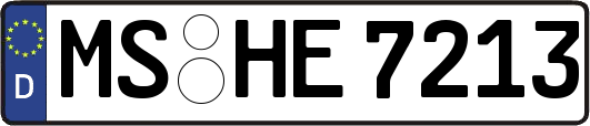 MS-HE7213