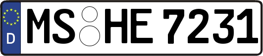 MS-HE7231