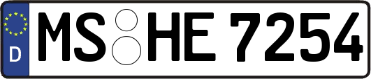 MS-HE7254