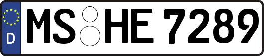 MS-HE7289