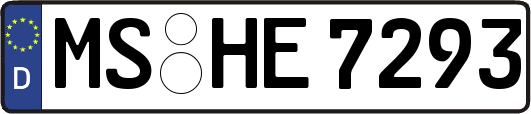 MS-HE7293