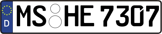 MS-HE7307