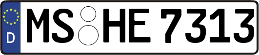 MS-HE7313