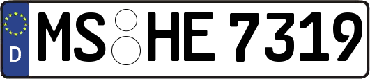 MS-HE7319