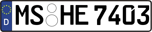 MS-HE7403