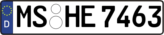 MS-HE7463