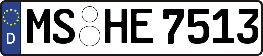 MS-HE7513