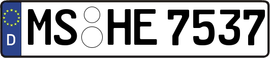MS-HE7537