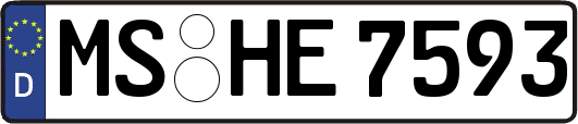 MS-HE7593