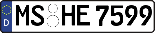 MS-HE7599