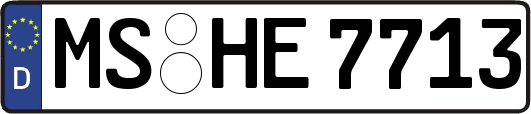 MS-HE7713