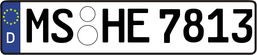 MS-HE7813