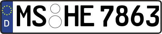 MS-HE7863