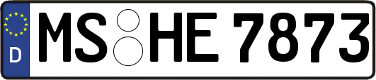 MS-HE7873