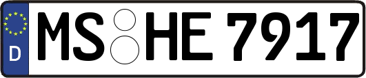 MS-HE7917