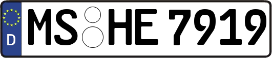 MS-HE7919