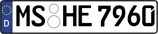 MS-HE7960