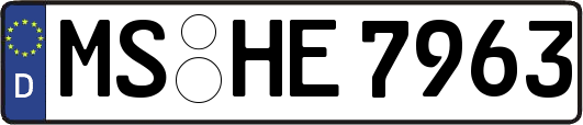 MS-HE7963